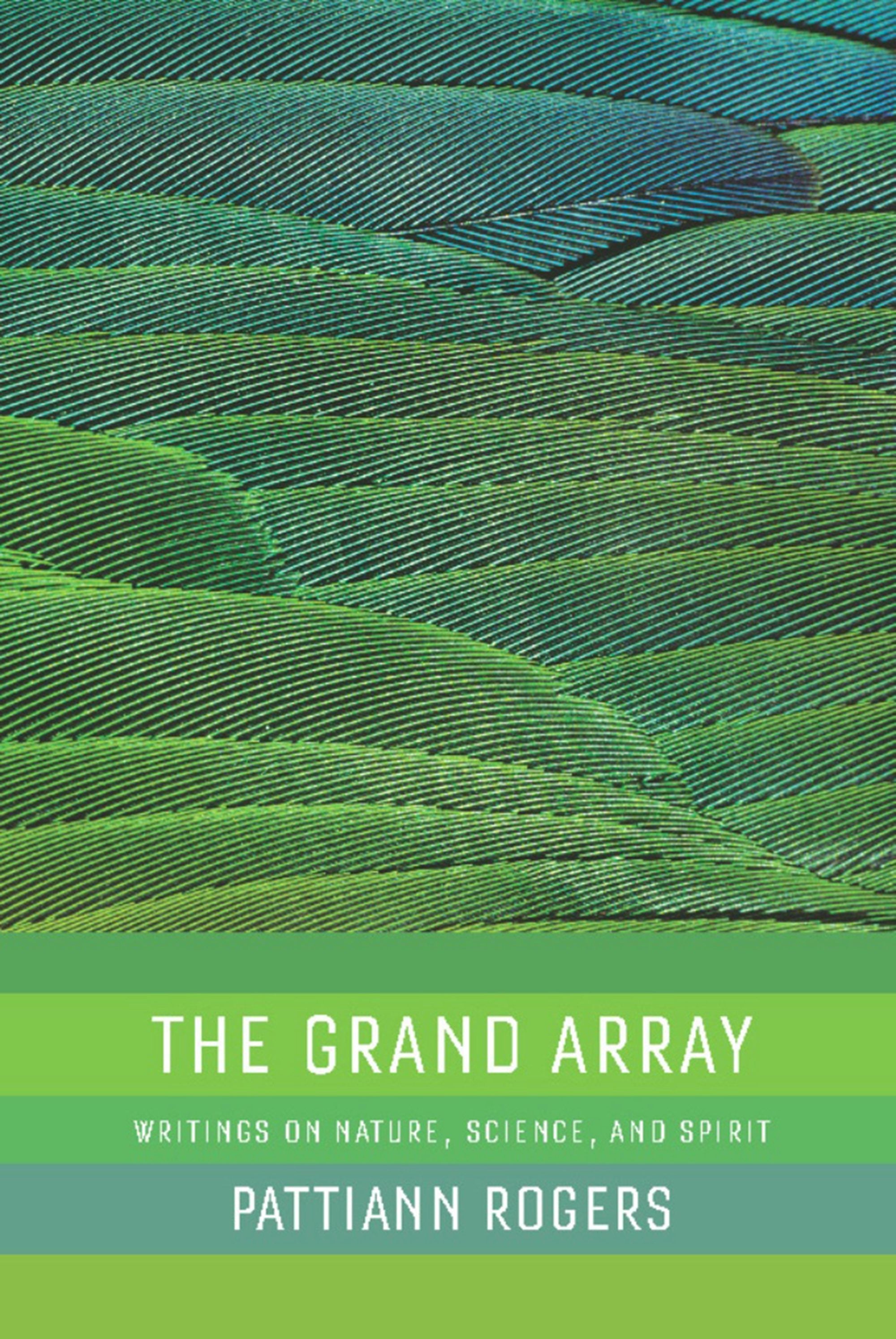 Book cover image for The Grand Array ISBN: 9781595341068